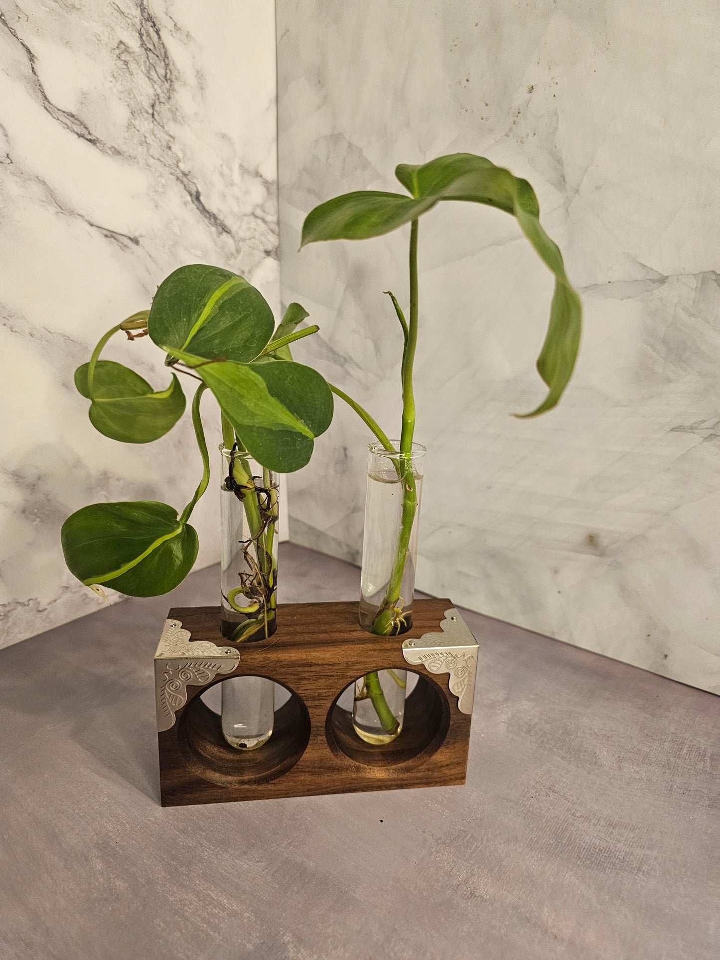 Natural Wood Propagation Station - Bud Vase