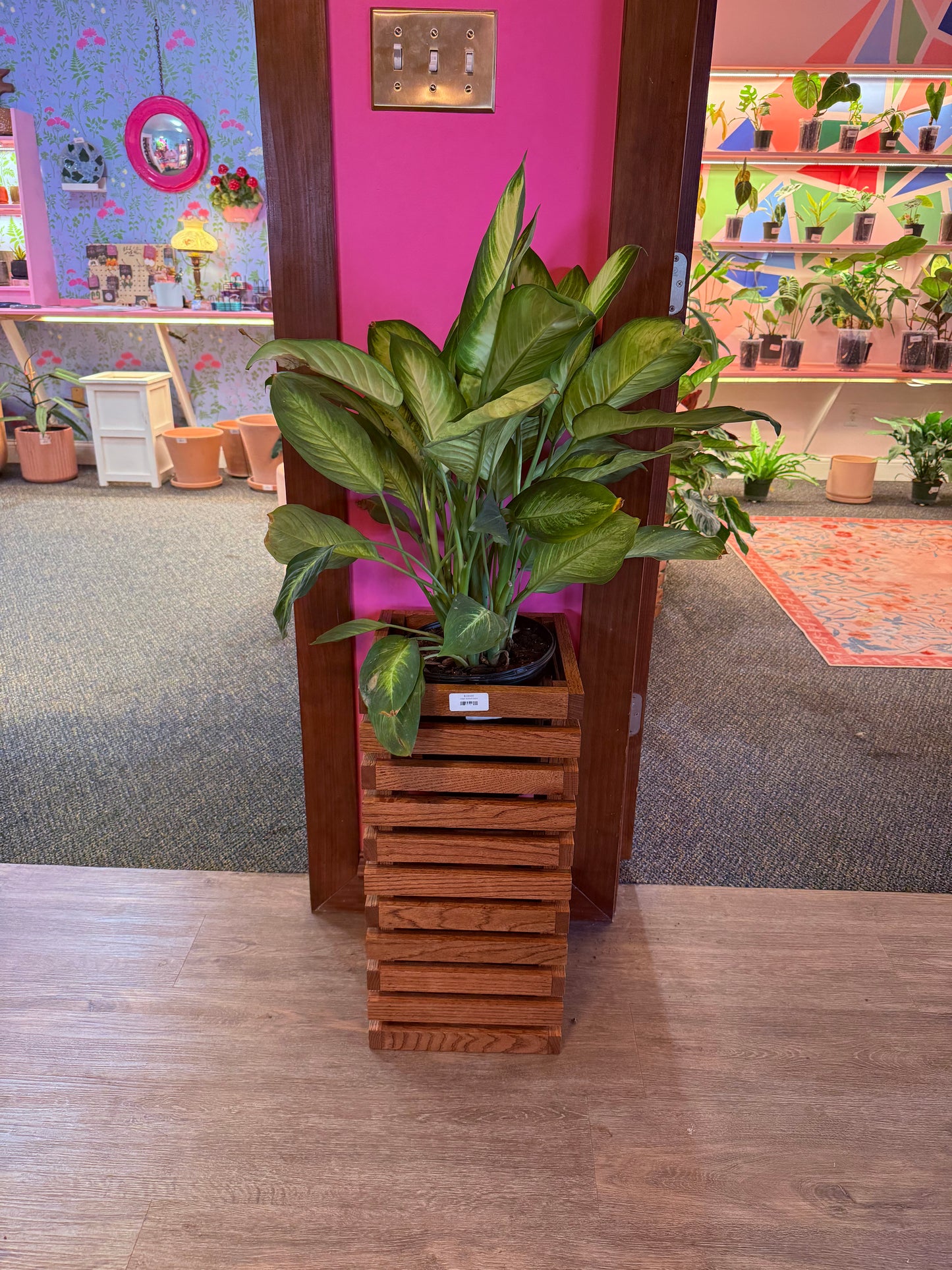 Red Oak handcrafted indoor Wooden Plant Stands