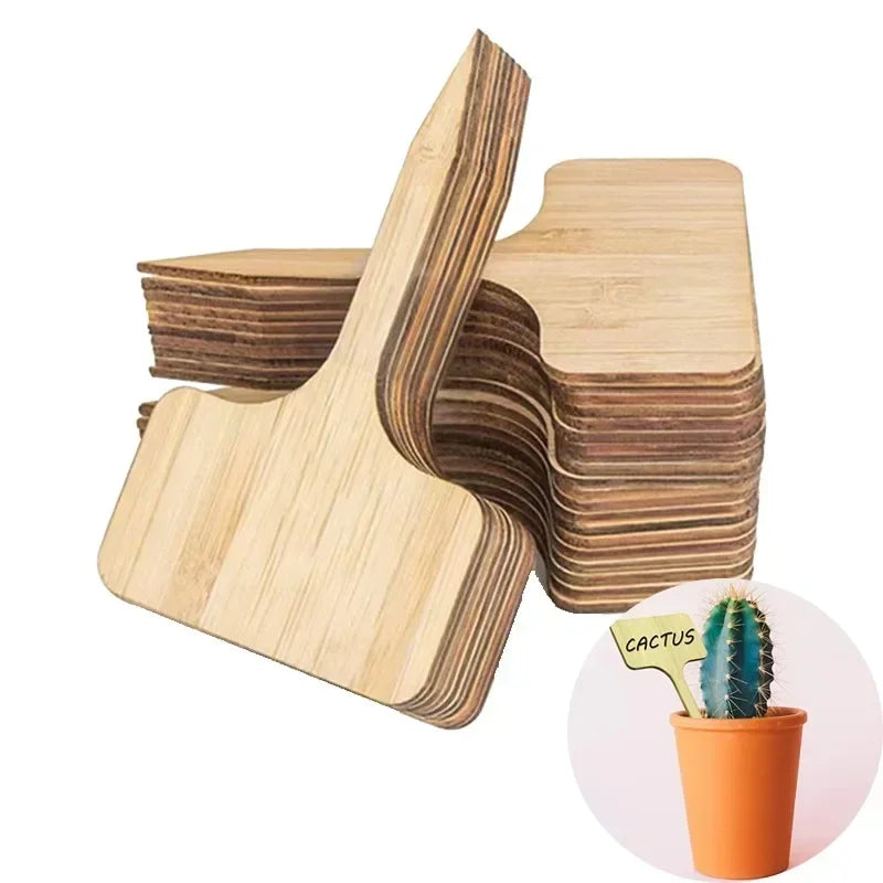 wholesale succulent plugs 10PCS wooden plug-in succulent plant flower label creative horticultur – Oasis Gardens