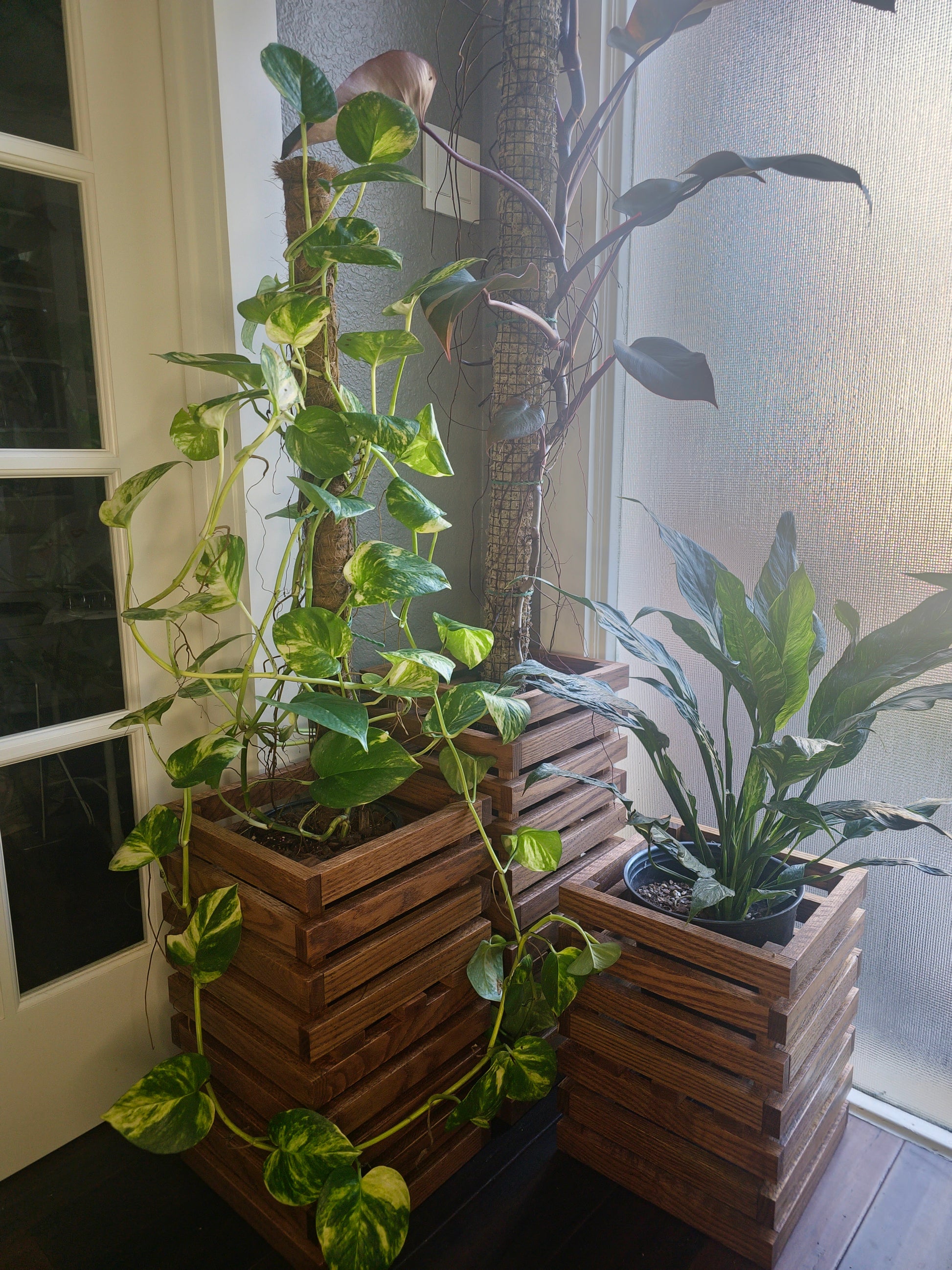 oak plant stands indoor Indoor Plant Stands, Planters (For 8-10" Pots) Free Shipping – Oasis Gardens