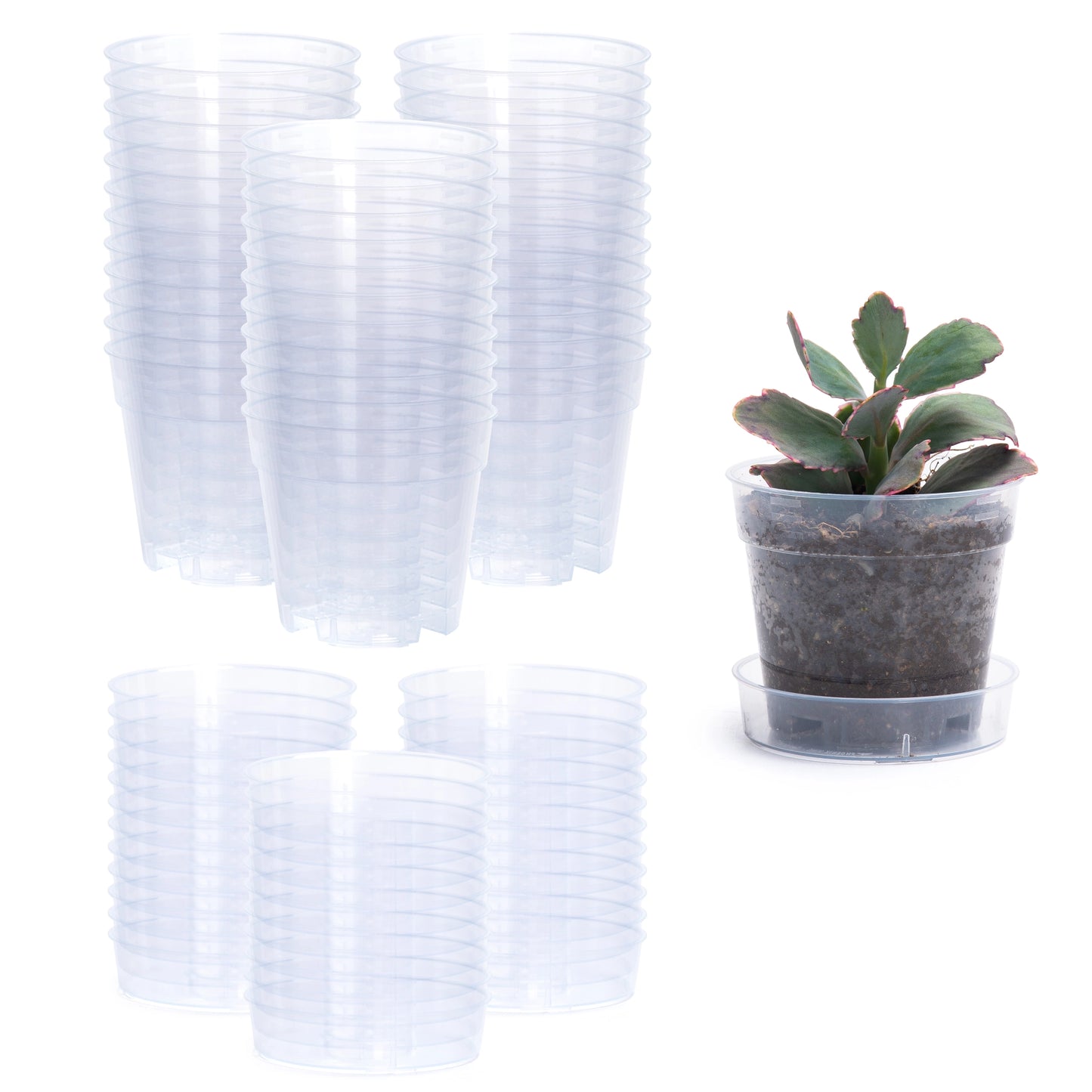Clear Nursery Pot with An Interlocking Saucer, 4" X 3.5"
