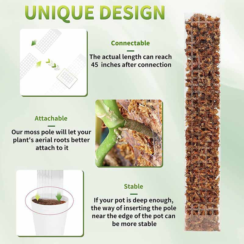 Semi-circular Plant Plastic Moss Pole Plant Stake