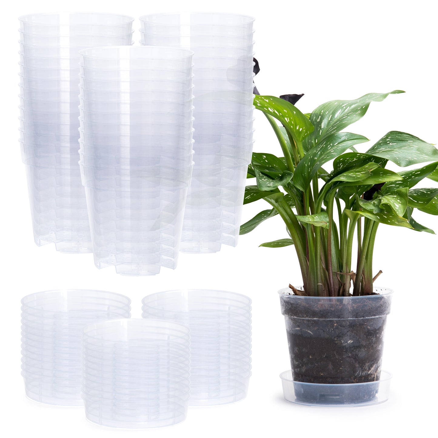 Clear Nursery Pot with An Interlocking Saucer, 4" X 3.5"