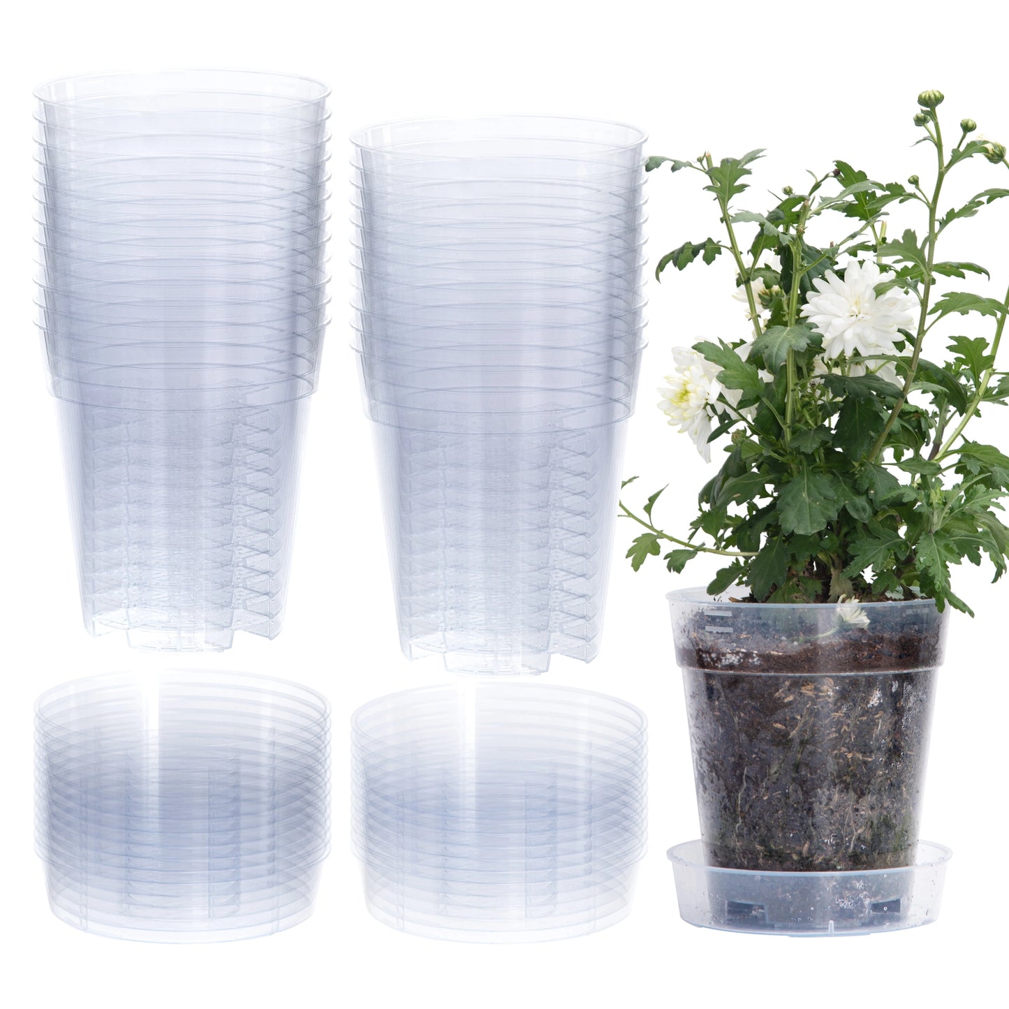 Clear Nursery Pot with An Interlocking Saucer, 4" X 3.5"