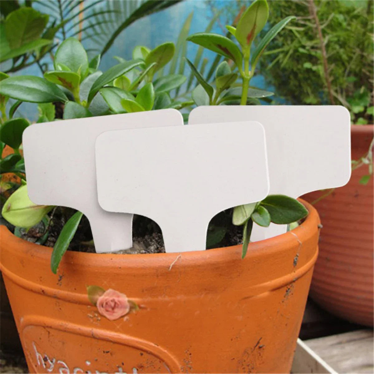 non plastic plant labels 50/100Pcs T-Type Plant Label Markers Waterproof PVC Garden Plants Clas – Oasis Gardens