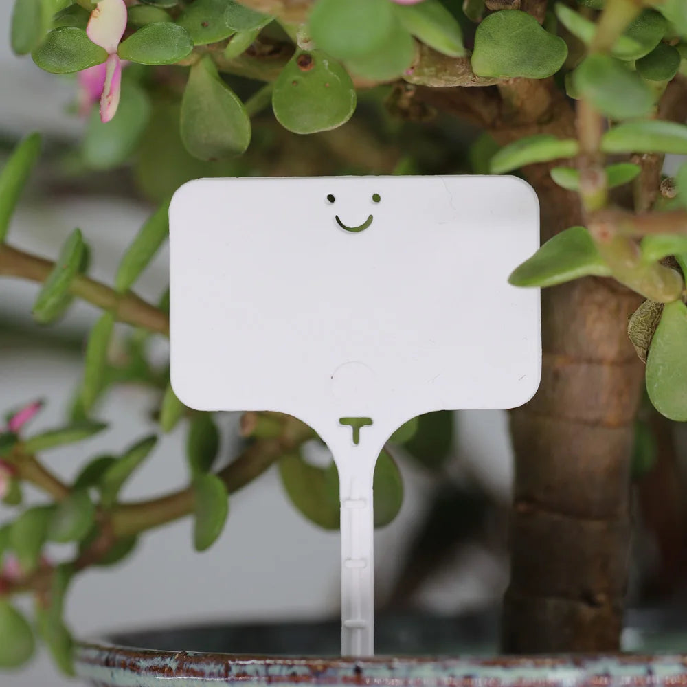 Many Types of White Plastic Garden Labels Anti UV Waterproof Plant Tags Nursery Potted Markers Re-usable Stakes Sign for Flowers