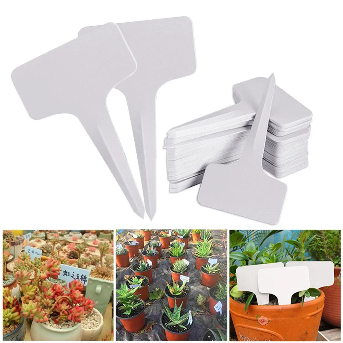 150 PZ CARTELLO pianta etichetta nome etichette plastica pennarelli 150 PZ CARTELLO pianta etichetta nome etichette plastica pennarelli
